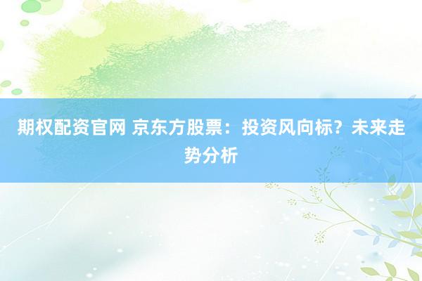 期权配资官网 京东方股票：投资风向标？未来走势分析