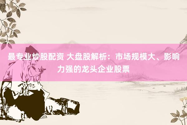 最专业炒股配资 大盘股解析：市场规模大、影响力强的龙头企业股票