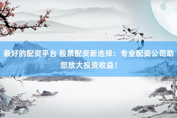 最好的配资平台 股票配资新选择：专业配资公司助您放大投资收益！