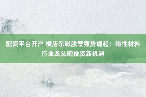 配资平台开户 横店东磁股票强势崛起：磁性材料行业龙头的投资新机遇