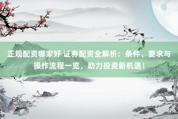 正规配资哪家好 证券配资全解析：条件、要求与操作流程一览，助力投资新机遇！