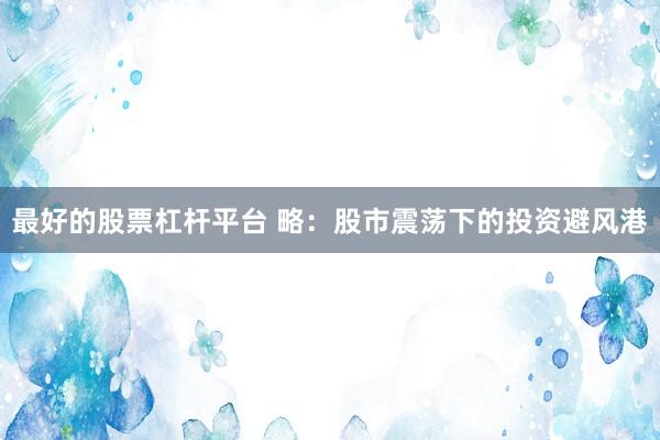 最好的股票杠杆平台 略：股市震荡下的投资避风港