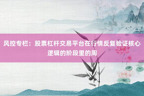 风控专栏：股票杠杆交易平台在行情反复验证核心逻辑的阶段里的周