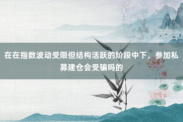 在在指数波动受限但结构活跃的阶段中下，参加私募建仓会受骗吗的