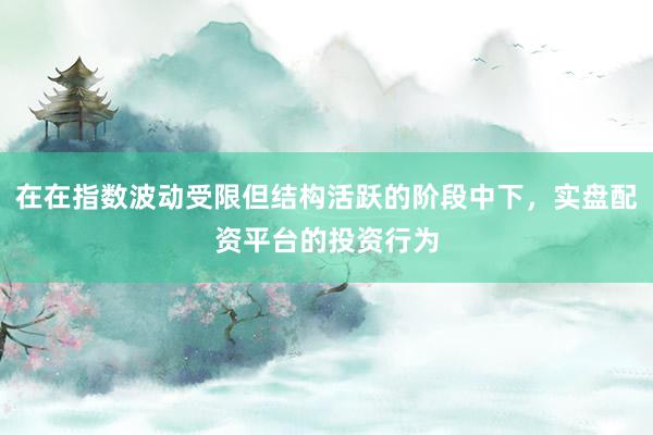 在在指数波动受限但结构活跃的阶段中下，实盘配资平台的投资行为