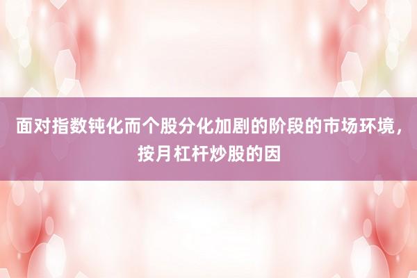 面对指数钝化而个股分化加剧的阶段的市场环境，按月杠杆炒股的因