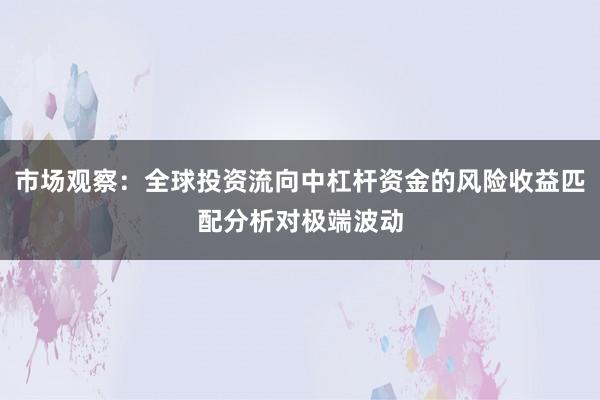 市场观察：全球投资流向中杠杆资金的风险收益匹配分析对极端波动