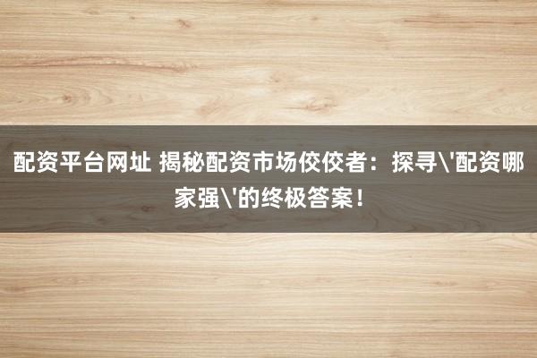 配资平台网址 揭秘配资市场佼佼者：探寻'配资哪家强'的终极答案！