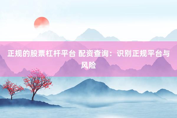 正规的股票杠杆平台 配资查询：识别正规平台与风险