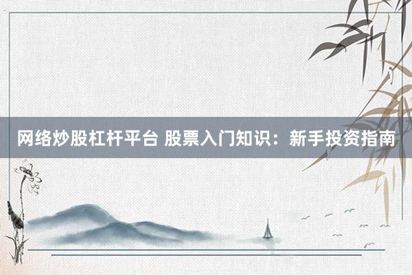 网络炒股杠杆平台 股票入门知识：新手投资指南